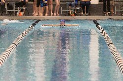 swim meet final
